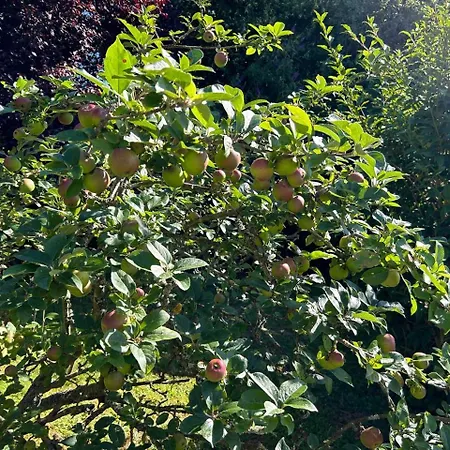 Familiale Dom wakacyjny